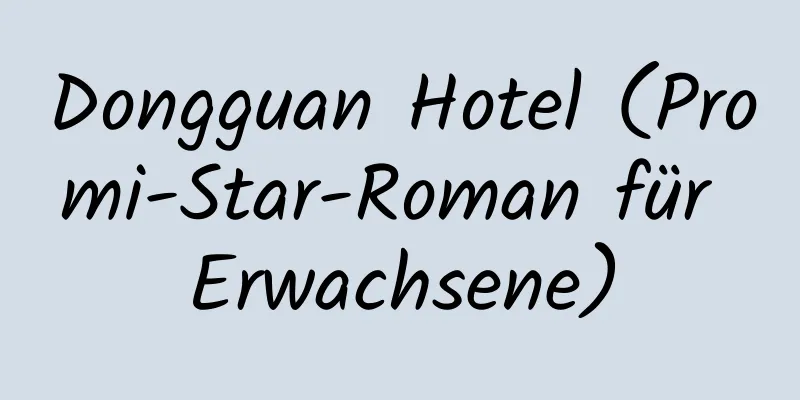 Dongguan Hotel (Promi-Star-Roman für Erwachsene)