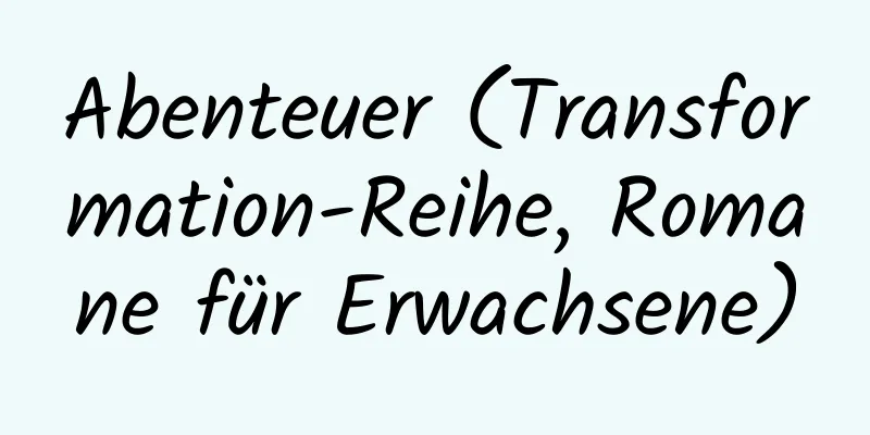 Abenteuer (Transformation-Reihe, Romane für Erwachsene)