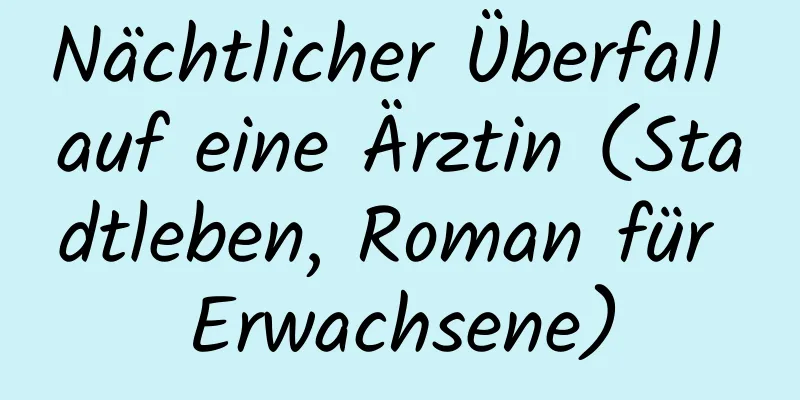 Nächtlicher Überfall auf eine Ärztin (Stadtleben, Roman für Erwachsene)