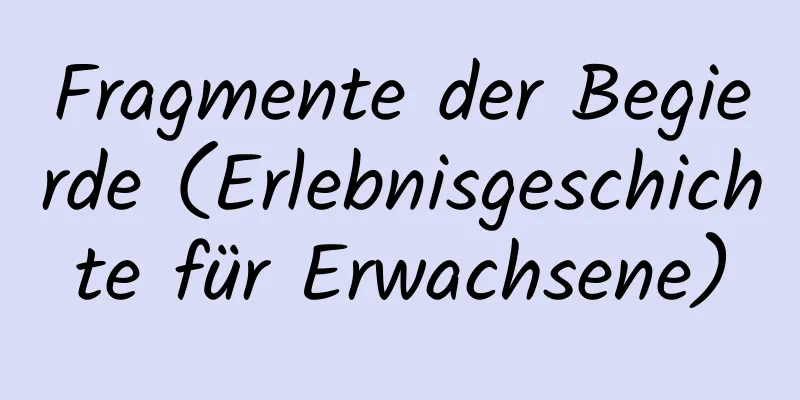 Fragmente der Begierde (Erlebnisgeschichte für Erwachsene)