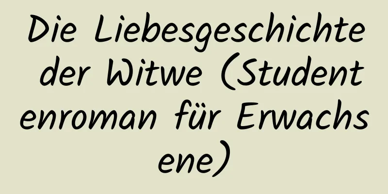 Die Liebesgeschichte der Witwe (Studentenroman für Erwachsene)