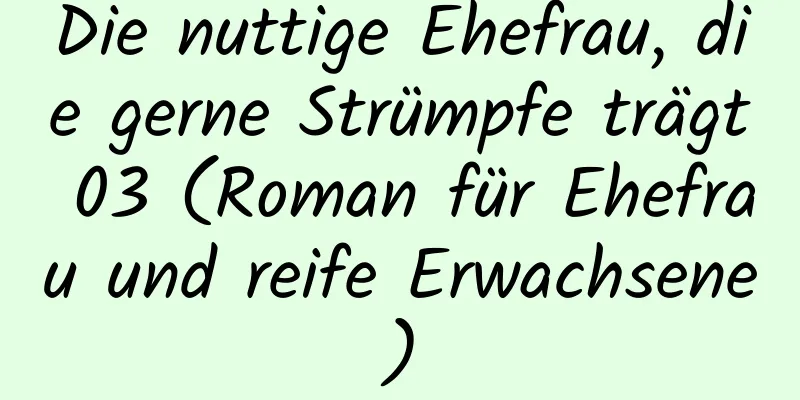 Die nuttige Ehefrau, die gerne Strümpfe trägt 03 (Roman für Ehefrau und reife Erwachsene)