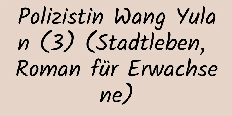 Polizistin Wang Yulan (3) (Stadtleben, Roman für Erwachsene)