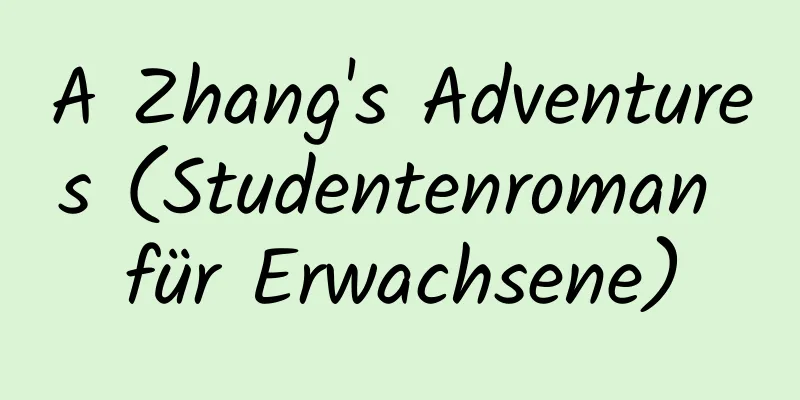 A Zhang's Adventures (Studentenroman für Erwachsene)