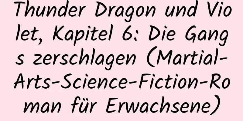 Thunder Dragon und Violet, Kapitel 6: Die Gangs zerschlagen (Martial-Arts-Science-Fiction-Roman für Erwachsene)