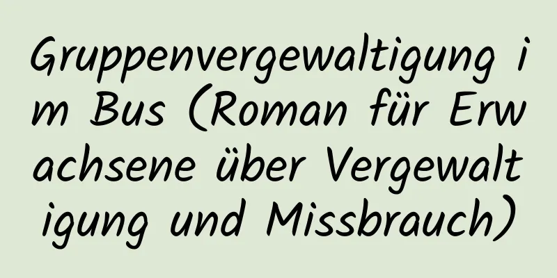 Gruppenvergewaltigung im Bus (Roman für Erwachsene über Vergewaltigung und Missbrauch)