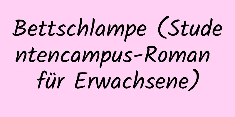 Bettschlampe (Studentencampus-Roman für Erwachsene)