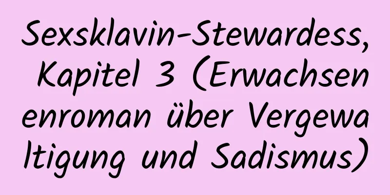 Sexsklavin-Stewardess, Kapitel 3 (Erwachsenenroman über Vergewaltigung und Sadismus)