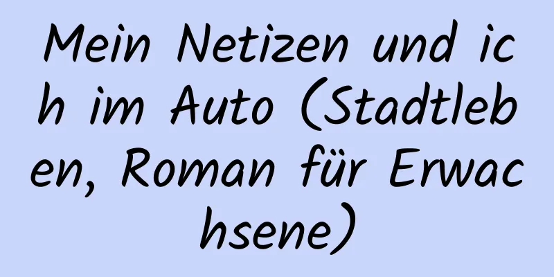 Mein Netizen und ich im Auto (Stadtleben, Roman für Erwachsene)