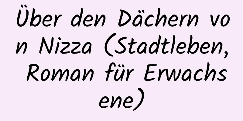 Über den Dächern von Nizza (Stadtleben, Roman für Erwachsene)