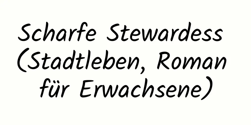 Scharfe Stewardess (Stadtleben, Roman für Erwachsene)