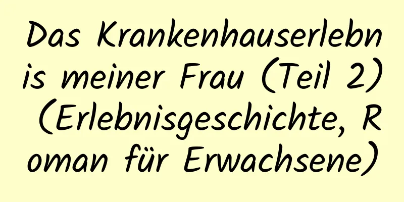 Das Krankenhauserlebnis meiner Frau (Teil 2) (Erlebnisgeschichte, Roman für Erwachsene)