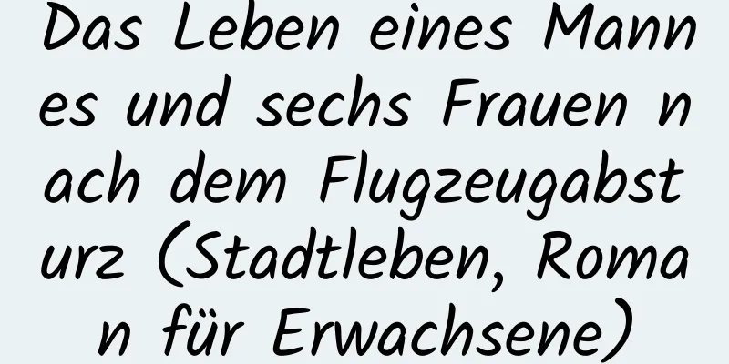 Das Leben eines Mannes und sechs Frauen nach dem Flugzeugabsturz (Stadtleben, Roman für Erwachsene)