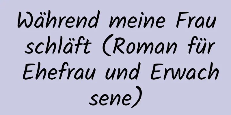 Während meine Frau schläft (Roman für Ehefrau und Erwachsene)