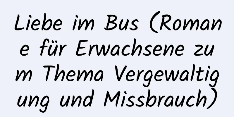 Liebe im Bus (Romane für Erwachsene zum Thema Vergewaltigung und Missbrauch)