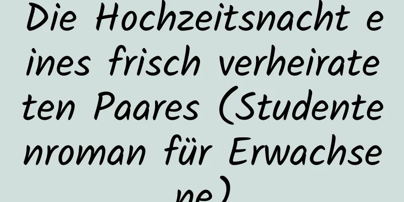 Die Hochzeitsnacht eines frisch verheirateten Paares (Studentenroman für Erwachsene)