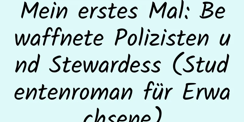 Mein erstes Mal: ​​Bewaffnete Polizisten und Stewardess (Studentenroman für Erwachsene)