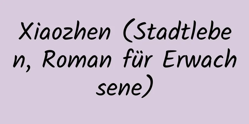 Xiaozhen (Stadtleben, Roman für Erwachsene)