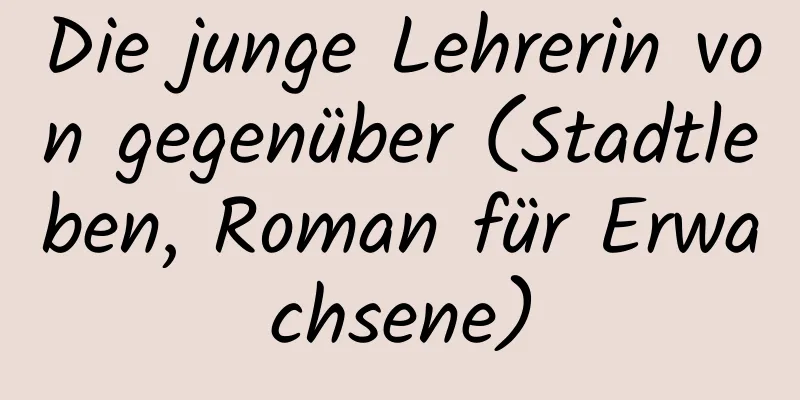 Die junge Lehrerin von gegenüber (Stadtleben, Roman für Erwachsene)