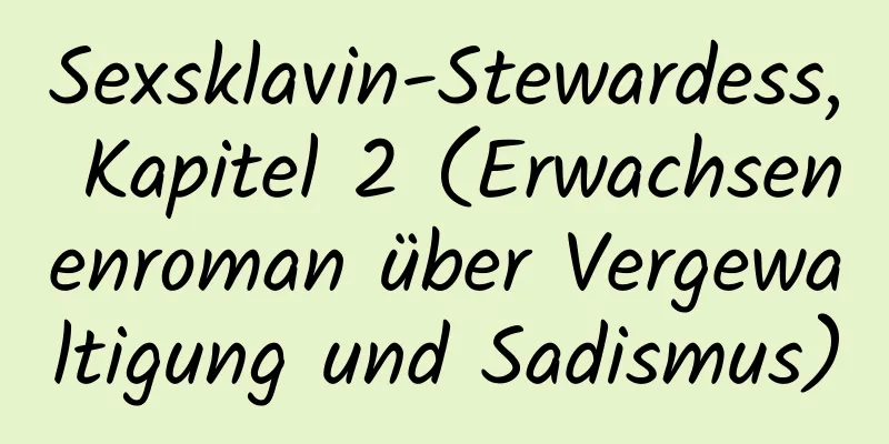 Sexsklavin-Stewardess, Kapitel 2 (Erwachsenenroman über Vergewaltigung und Sadismus)