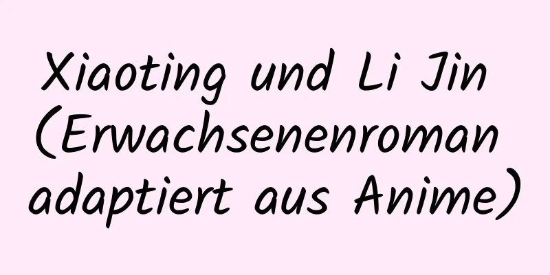 Xiaoting und Li Jin (Erwachsenenroman adaptiert aus Anime)