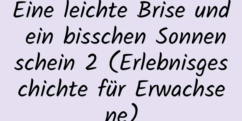 Eine leichte Brise und ein bisschen Sonnenschein 2 (Erlebnisgeschichte für Erwachsene)