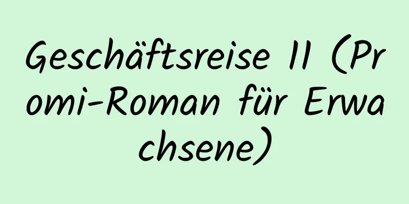 Geschäftsreise 11 (Promi-Roman für Erwachsene)