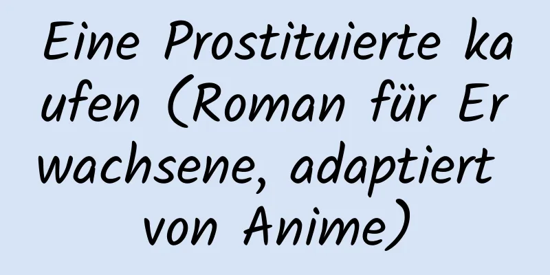 Eine Prostituierte kaufen (Roman für Erwachsene, adaptiert von Anime)