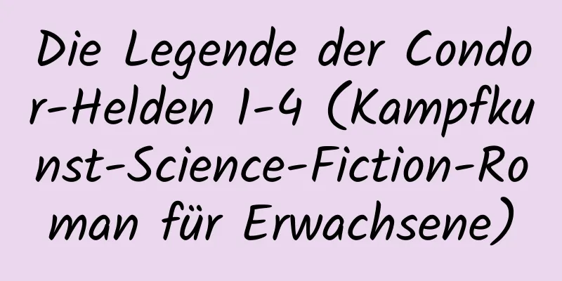 Die Legende der Condor-Helden 1-4 (Kampfkunst-Science-Fiction-Roman für Erwachsene)