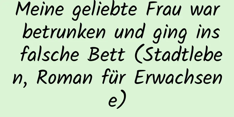 Meine geliebte Frau war betrunken und ging ins falsche Bett (Stadtleben, Roman für Erwachsene)