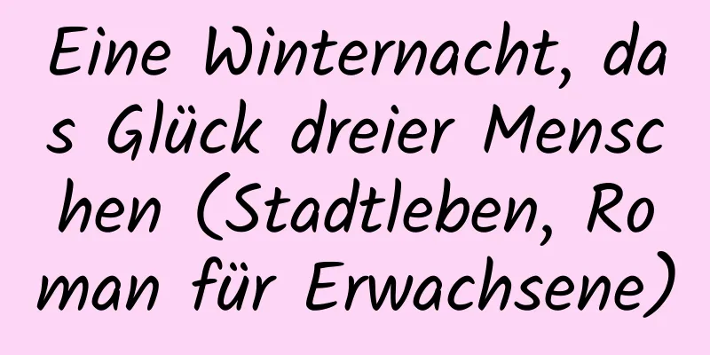 Eine Winternacht, das Glück dreier Menschen (Stadtleben, Roman für Erwachsene)