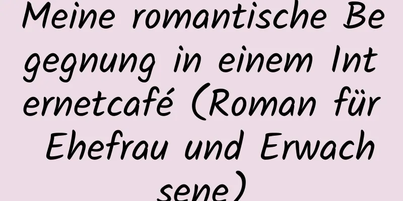 Meine romantische Begegnung in einem Internetcafé (Roman für Ehefrau und Erwachsene)