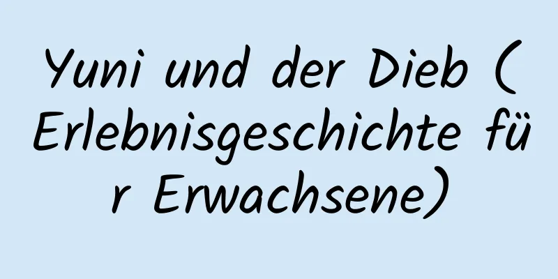 Yuni und der Dieb (Erlebnisgeschichte für Erwachsene)