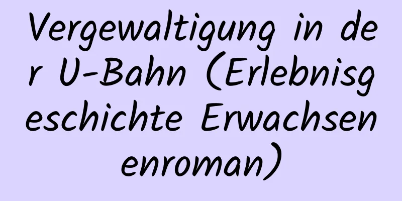 Vergewaltigung in der U-Bahn (Erlebnisgeschichte Erwachsenenroman)