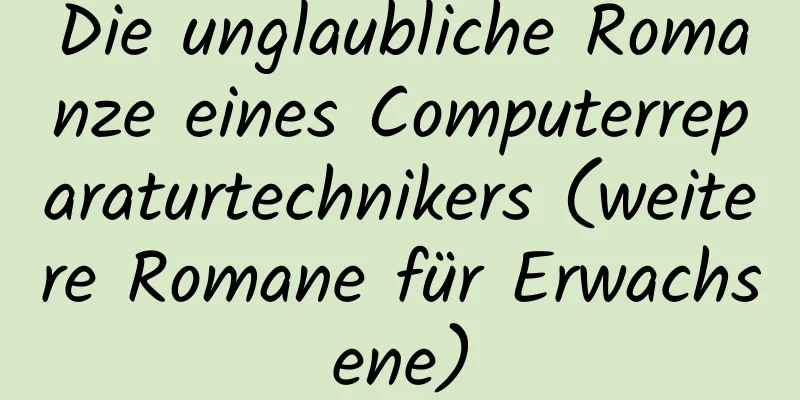 Die unglaubliche Romanze eines Computerreparaturtechnikers (weitere Romane für Erwachsene)