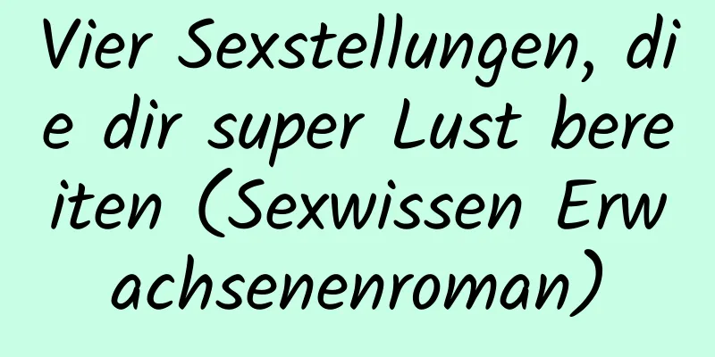 Vier Sexstellungen, die dir super Lust bereiten (Sexwissen Erwachsenenroman)