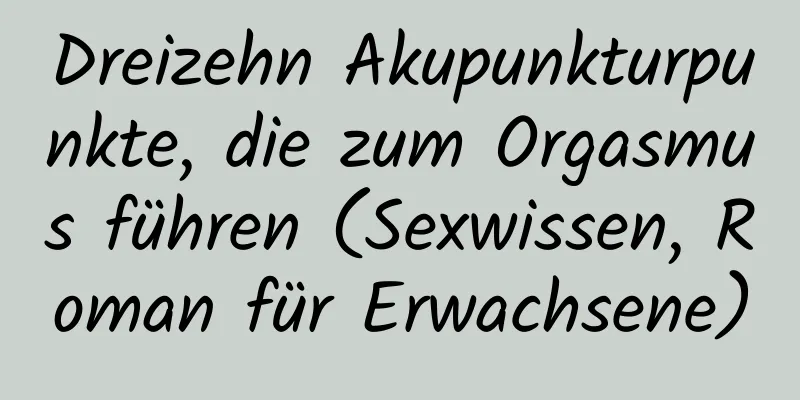 Dreizehn Akupunkturpunkte, die zum Orgasmus führen (Sexwissen, Roman für Erwachsene)