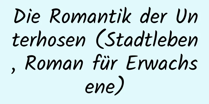 Die Romantik der Unterhosen (Stadtleben, Roman für Erwachsene)