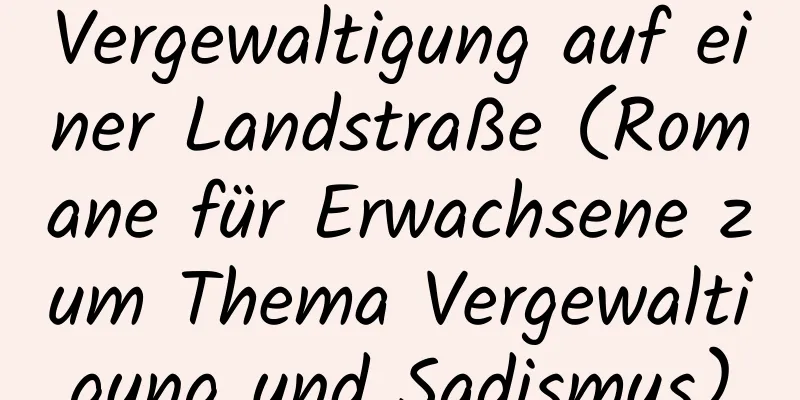 Vergewaltigung auf einer Landstraße (Romane für Erwachsene zum Thema Vergewaltigung und Sadismus)