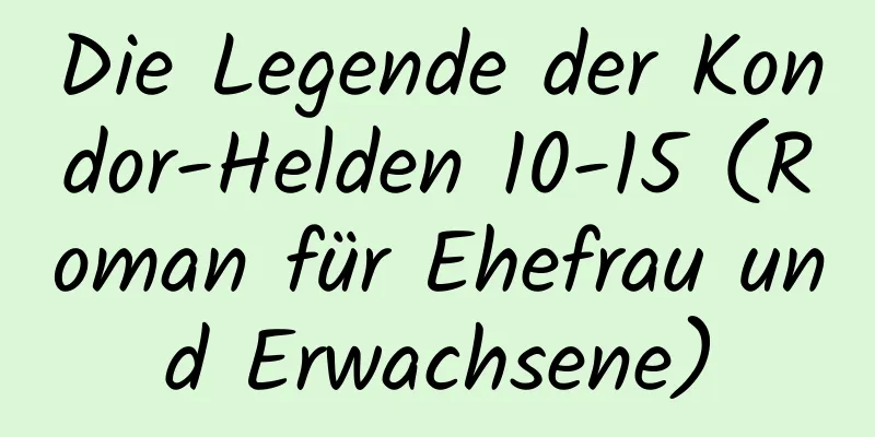 Die Legende der Kondor-Helden 10-15 (Roman für Ehefrau und Erwachsene)