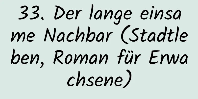 33. Der lange einsame Nachbar (Stadtleben, Roman für Erwachsene)