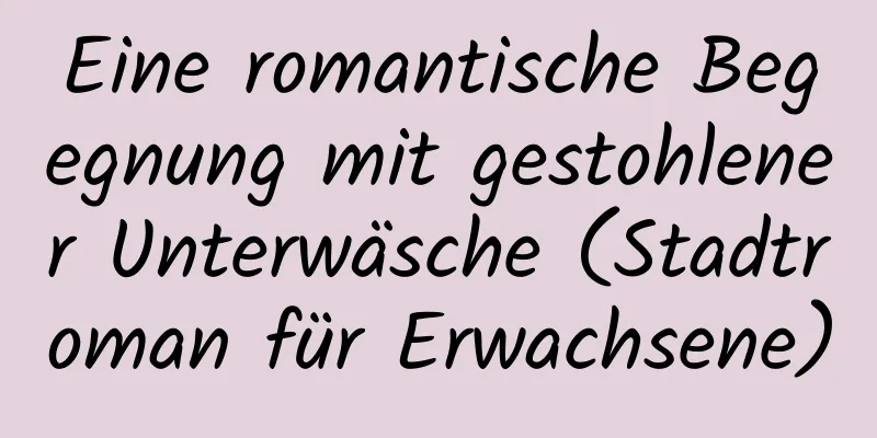 Eine romantische Begegnung mit gestohlener Unterwäsche (Stadtroman für Erwachsene)