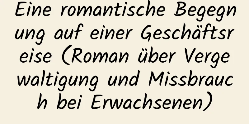 Eine romantische Begegnung auf einer Geschäftsreise (Roman über Vergewaltigung und Missbrauch bei Erwachsenen)