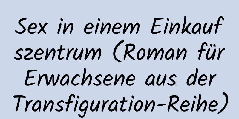 Sex in einem Einkaufszentrum (Roman für Erwachsene aus der Transfiguration-Reihe)