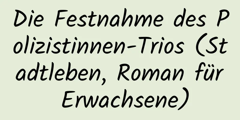 Die Festnahme des Polizistinnen-Trios (Stadtleben, Roman für Erwachsene)