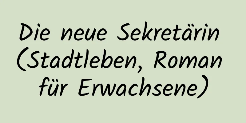 Die neue Sekretärin (Stadtleben, Roman für Erwachsene)