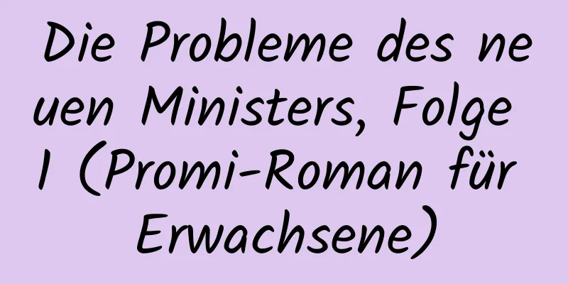 Die Probleme des neuen Ministers, Folge 1 (Promi-Roman für Erwachsene)