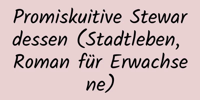 Promiskuitive Stewardessen (Stadtleben, Roman für Erwachsene)