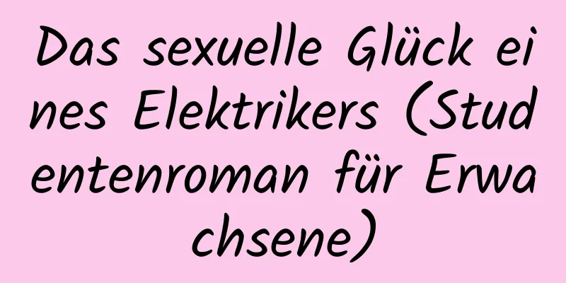 Das sexuelle Glück eines Elektrikers (Studentenroman für Erwachsene)