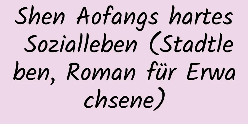 Shen Aofangs hartes Sozialleben (Stadtleben, Roman für Erwachsene)